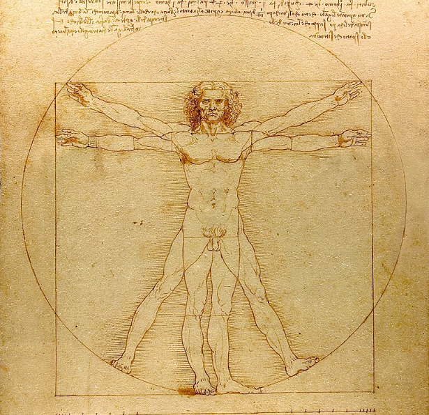 Vitruvian Man